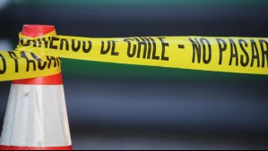 120 vacunos desataron colisiones en Ruta 5 Sur: 20 animales murieron y 9 autos terminaron con daños