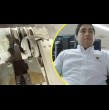 La tecnología permitió rescatar a los mineros atrapados desde el jueves en la mina El Teniente. Maquinaria teledirigida desde una sala de control fue la clave para llegar al objetivo de encontrar a los trabajadores.