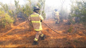 Declaran Alerta Roja en Copiapó por incendio forestal: Fuego amenaza a sectores poblados