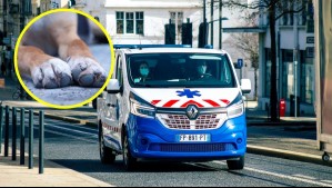 Perro ataca y termina matando a niño en Francia: Su padre lo había dejado solo para ir a comprar