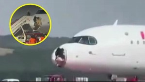 Avión choca con buitre y regresa de emergencia a Madrid: Así quedó la aeronave