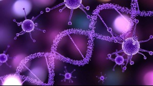 Se alimenta de carne humana: ¿Qué se sabe sobre la bacteria carnívora que ya ha causado 8 muertes en EEUU?