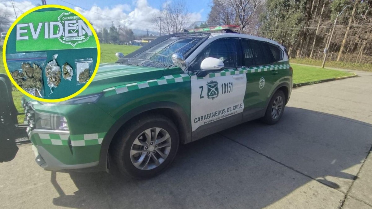 Perro policial delata a profesor con 400 gramos de marihuana en un bus: Droga está avaluada en $1,5 millones