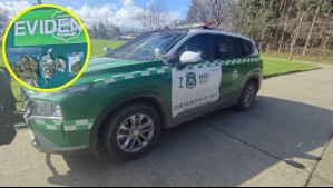 Perro policial delata a profesor con 400 gramos de marihuana en un bus: Droga está avaluada en $1,5 millones