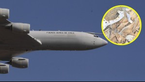 Después de seis décadas: Excursionistas hallan restos que serían de avión FACh desaparecido en 1962 en Antofagasta