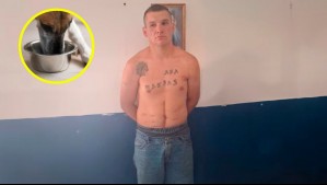 'Encontramos piel en los platos': Presunto asesino serial les habría dado de comer a sus perros la carne de las víctimas
