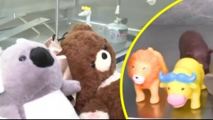 Tienen alto nivel de arsénico: Seremi de Salud alerta riesgos de juguetes vendidos sin certificación