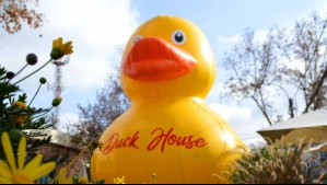 Pato de hule gigante vuelve en el Día del Niño: ¿Dónde estará la emblemática figura?