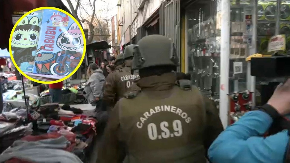 Los detalles de los operativos para combatir el comercio irregular en Santiago
