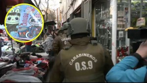 Los detalles de los operativos para combatir el comercio irregular en Santiago