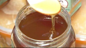 Aumenta consumo de miel en Chile: ¿Cómo y cuánto deberíamos consumir?