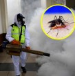 ¿Sabes qué es el Chikungunya? Descubre qué es el virus que obligó a las autoridades chinas a tomar drásticas medidas que evocan recuerdos de la pandemia del Covid-19.