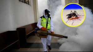 China en alerta por virus chikungunya: Conoce en qué consiste la enfermedad que se propaga en el gigante asiático
