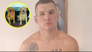 Presunto asesino serial en Argentina: Perros especializados buscan posibles restos humanos