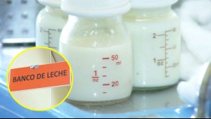 Los beneficios del llamado 'oro blanco': Único Banco de Leche en Chile cumple 10 años