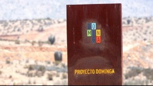 Tribunal Constitucional declara inadmisible requerimiento de organizaciones contra proyecto Dominga