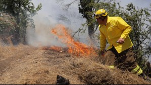 Alerta Roja por incendio forestal en Alto Biobío: Amenaza a la Reserva Nacional Ralco