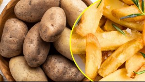 El desconocido origen chileno de la papa: Nació del tomate y de plantas del sur del país