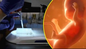 Empresa ofrece seleccionar embriones: Todo sobre el boom de buscar 'bebés genios'