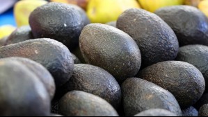 Alerta por paltas peruanas contaminadas con cadmio: ¿Es peligroso comerlas en Chile?