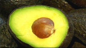¿Chile se ve afectado?: Europa rechaza cargamentos de palta peruana por estar contaminados