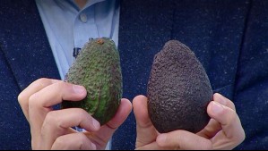 Ante preocupación por componente cancerígeno: ¿Cómo diferenciar la palta peruana de la palta chilena?