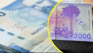 Influencer regala $2 millones a mujer que encontró billete con el dibujo de un pato: 'Me lo dieron de vuelto'