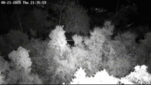 Cámaras captan agua-nieve en el Cerro San Cristóbal