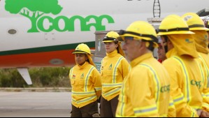 Conaf busca 3.500 brigadistas forestales: ¿Cómo puedo postular?