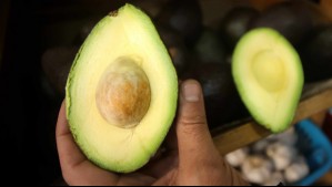 Alerta por cadmio: Experta explica qué es y si es posible encontrarlo en paltas chilenas