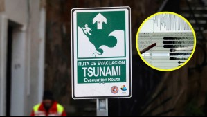 Llaman a evacuar zona de la playa del territorio Antártico tras amenaza de tsunami