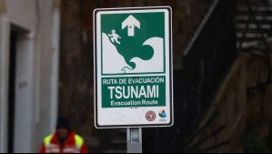 Amenaza de tsunami: SHOA informa horas de llegada de las olas en el territorio antártico