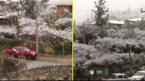 'La situación continúa durante la jornada': Así quedó el Valle del Elqui tras la caída de nieve este viernes