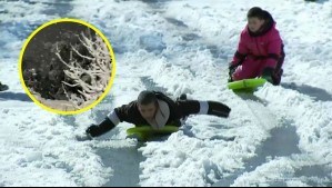 Turismo, avalanchas y heladas extremas: Las consecuencias del sistema frontal en la zona central