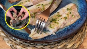 ¿Cómo identificar el 'falso jurel'?: Estas son las cinco marcas en la mira de la Seremi de Salud