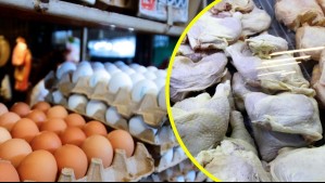 Influenza aviar altamente patógena: Estos son todos los productos avícolas que Chile dejará de comprar a Argentina