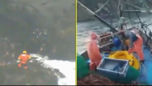 Fue atacado por lobos marinos y nadó durante 17 horas: Así se salvó el tripulante de lancha que naufragó en Punta Arenas