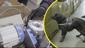 Usaron mentholatum para despistar a los perros y no lo lograron: Habían escondido droga dentro de repuestos de máquina de coser