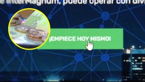 Estafa piramidal en línea enciende las alertas: Conoce de qué se trata y cómo evitarla