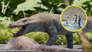 El 'cocodrilo gigante' de la Patagonia: Inusual hallazgo arqueológico revela a voraz depredador que habitó América
