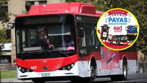 ¡Prepara tus mejores payas dieciocheras!: Así puedes ganar cuatro meses de viajes gratis en el transporte público de Santiago