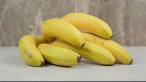 Ni en bolsa ni en el refrigerador: El truco para conservar los plátanos frescos por más días