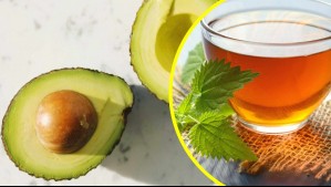 ¿Has probado el té de cuesco de palta?: Expertos recomiendan su consumo y explican cómo prepararlo