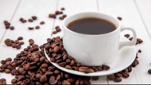 Prestigiosa cafetería sumará nuevos locales en la región Metropolitana: Uno de ellos estará en reconocido mall capitalino