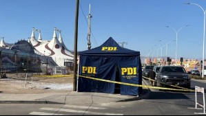 Mujer y su mascota mueren electrocutados en Antofagasta: Entraron en contacto con cable expuesto en plena calle