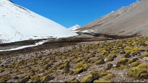 Por omisión del Ministerio: Tribunal Ambiental anula resolución que declaró Santuario de la Naturaleza a río de Monte Patria