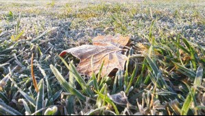 Mínimas de hasta -3°C: Emiten advertencia agrometeorológica por heladas en la RM y otras 5 regiones de Chile