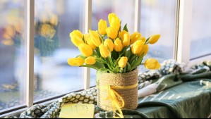 ¿Qué día de septiembre se regalan flores amarillas y por qué?