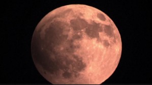 Así se vio la Luna de Sangre, el impresionante eclipse lunar total que tiñó el cielo de rojo