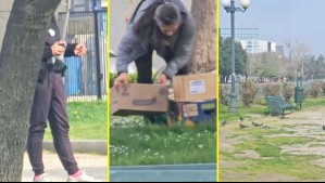 'Hay un restaurante que las compra': Rescatista denuncia caza de palomas en plazas de la Región Metropolitana